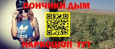 сатива Заволжье