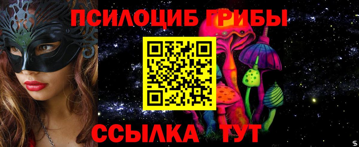 Киреевск  Псилоцибиновые грибы Psilocybine cubensis  Вход с VPN 