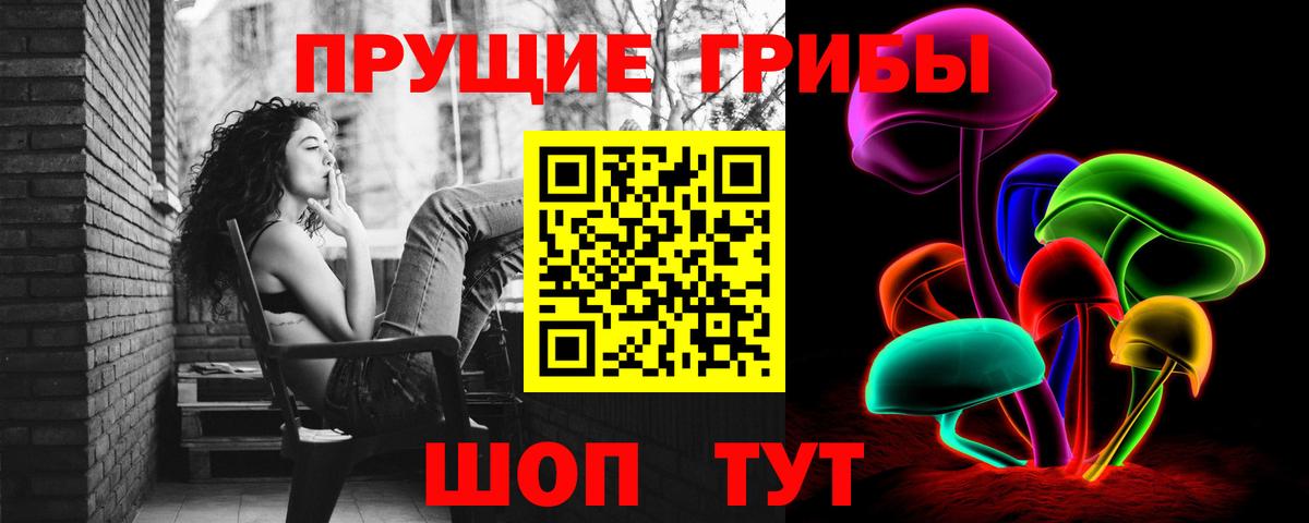 Галлюциногенные грибы Psilocybine cubensis Киреевск